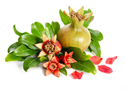 fleur-grenadine