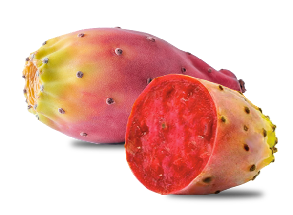 photo-cactusbioskin.fr-Photoroom1